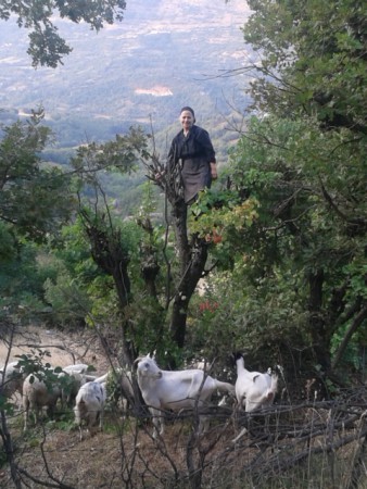 Η ΚΥΡΑ ΧΑΡΙΚΛΕΙΑ ΜΕ ΤΑ ΚΑΤΣΙΚΙΑ ΤΗΣ 