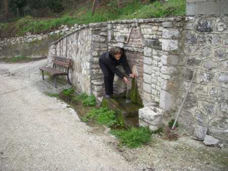 ΒΡΥΣΙ ΤΟ ΙΒΑΝΙ