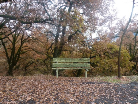 ΦΘΟΙΝΟΠΩΡΟ