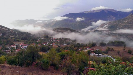 ΦΘΟΙΝΟΠΩΡΙΝΟ ΤΟΠΙΟ