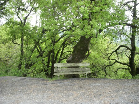 ΑΠΟΨΗ ΑΠΟ ΤΗΣ ΓΚΟΡΤΣΙΕΣ