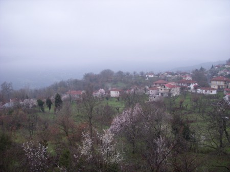 ΜΑΡΤΙΟΣ ΑΝΘΙΣΜΕΝΕΣ ΑΜΥΓΔΑΛΙΕΣ