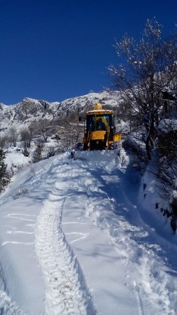 ΦΛΕΒΑΡΗΣ 2015